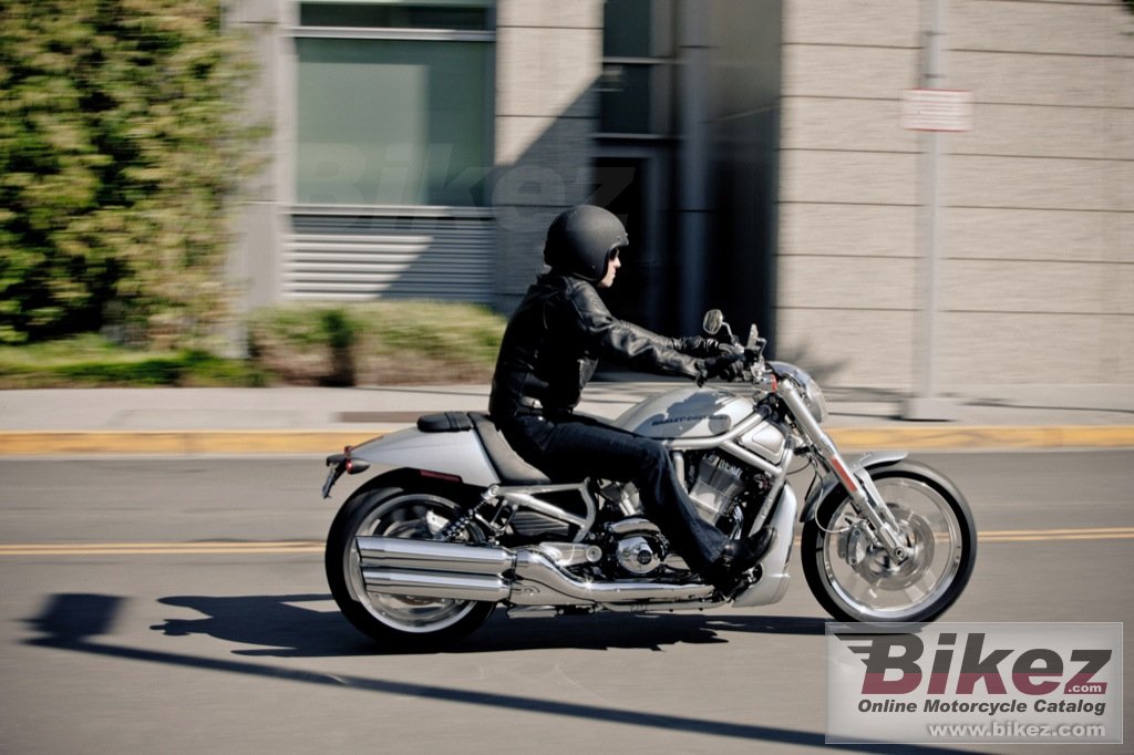 Big Harley-Davidson vrscdx v-rod 10th anniversary picture and wallpaper from Bikez.com